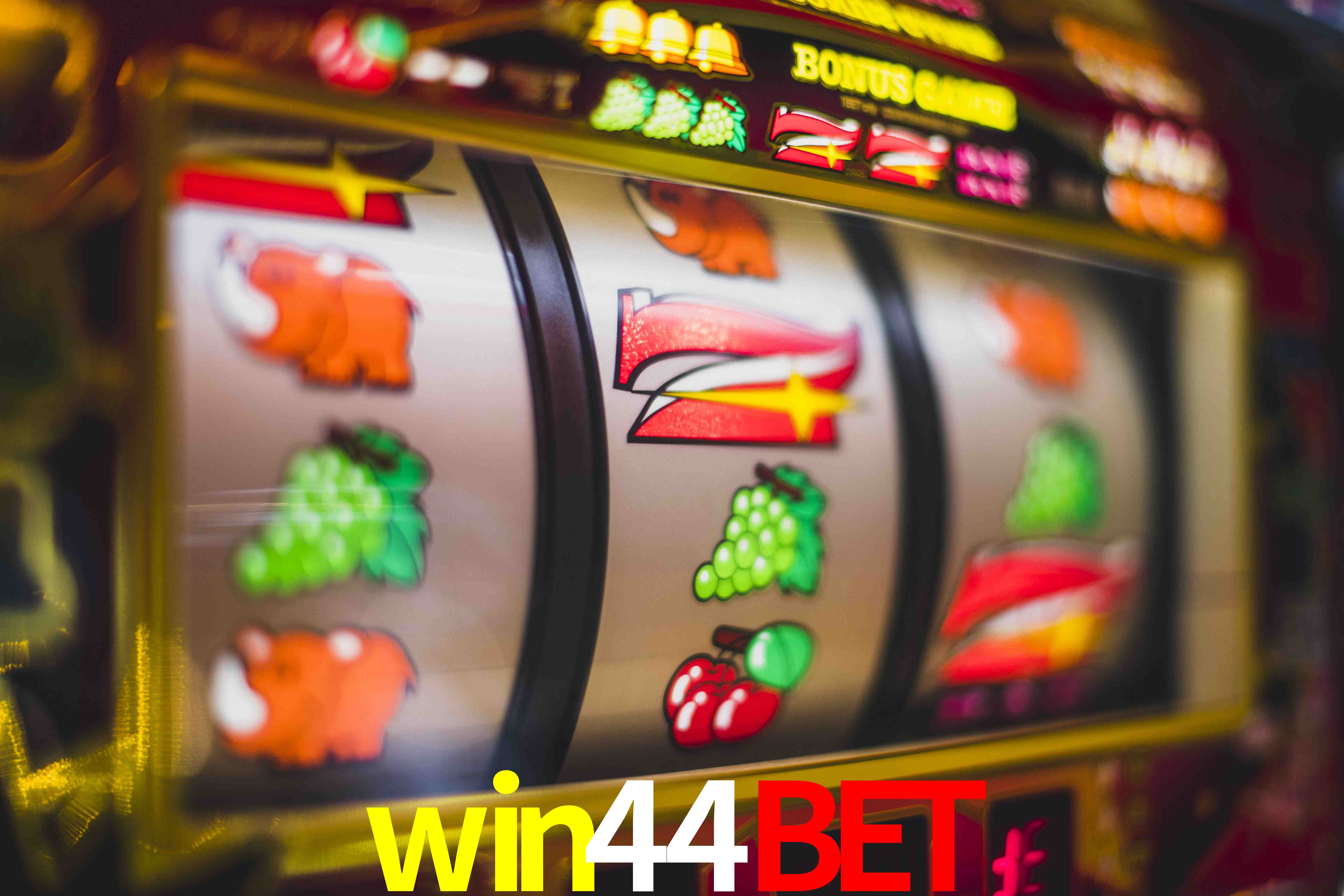 Live Casino win44bet
