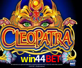 A Experiência Imersiva dos Cassinos Ao Vivo no win44bet